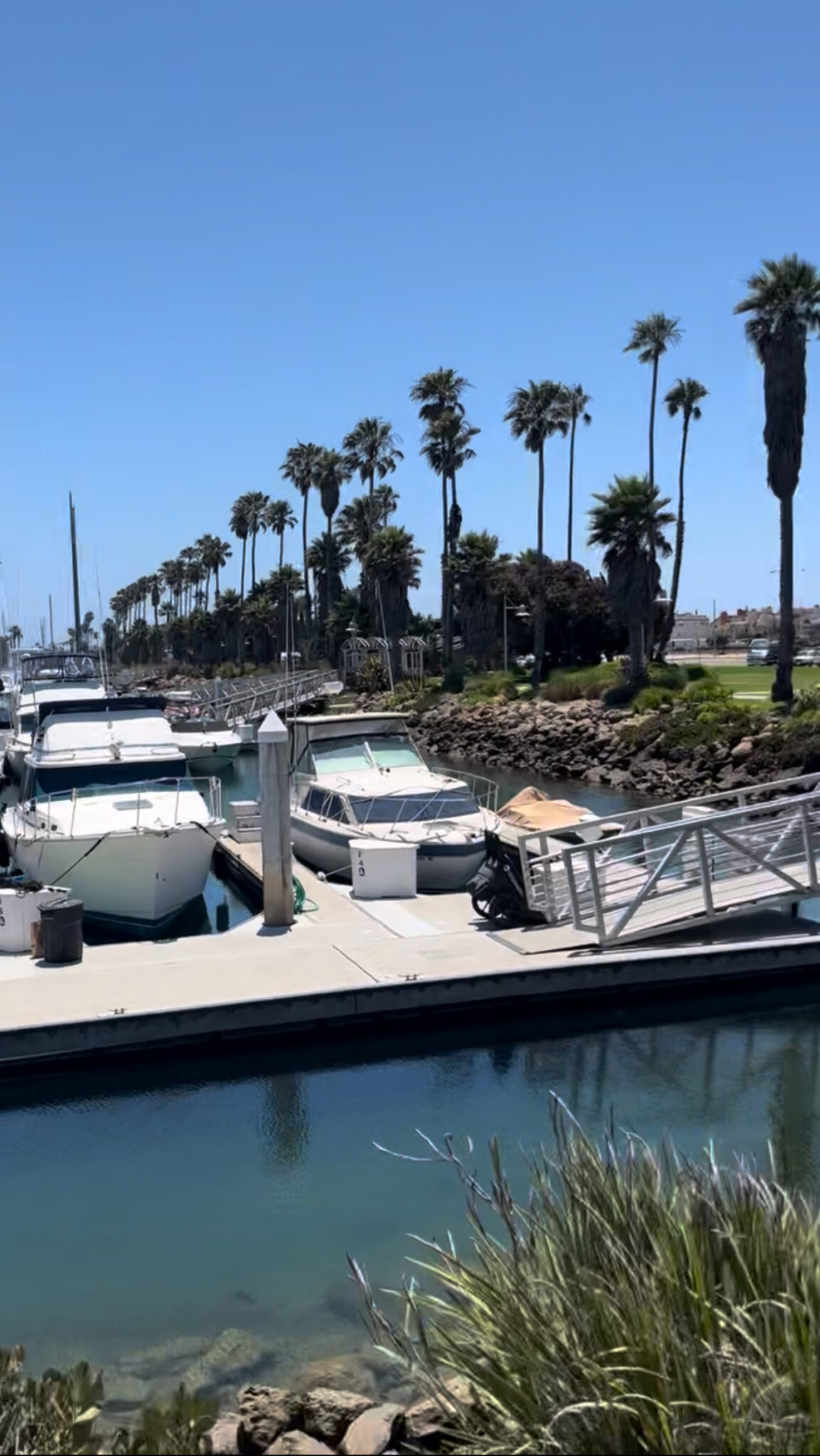 Summer Concert Series By The Sea