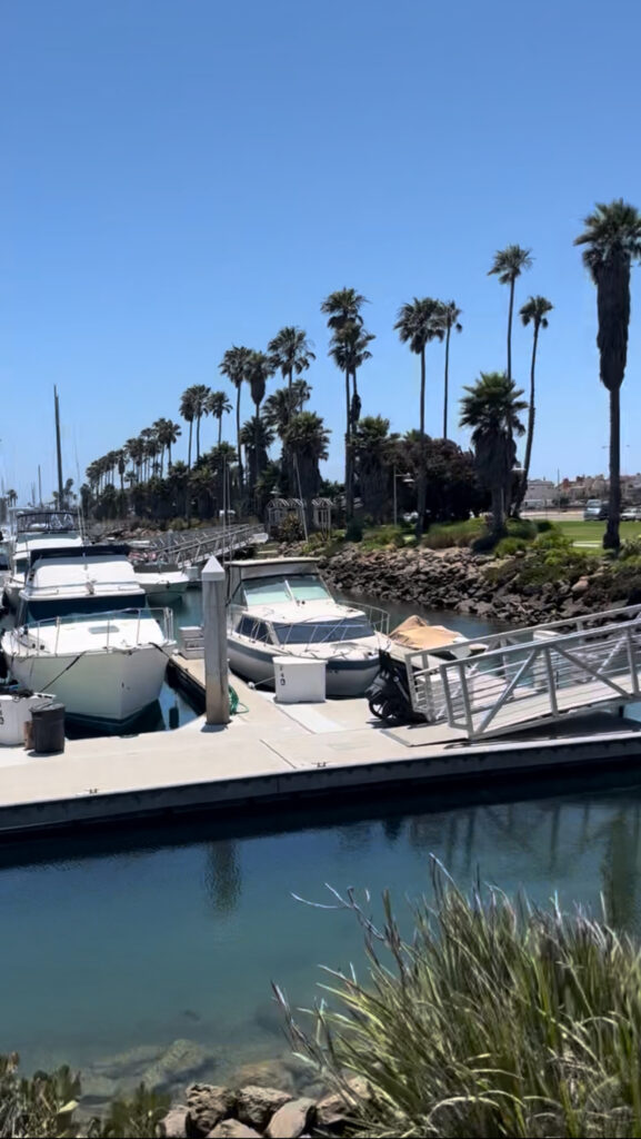 Summer Concert Series By The Sea