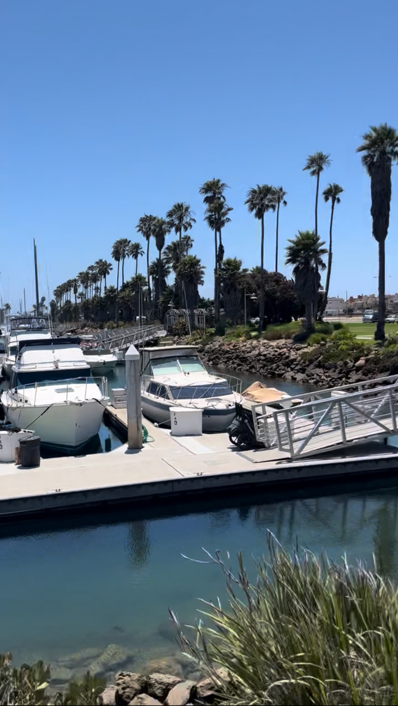 Summer Concert Series By The Sea