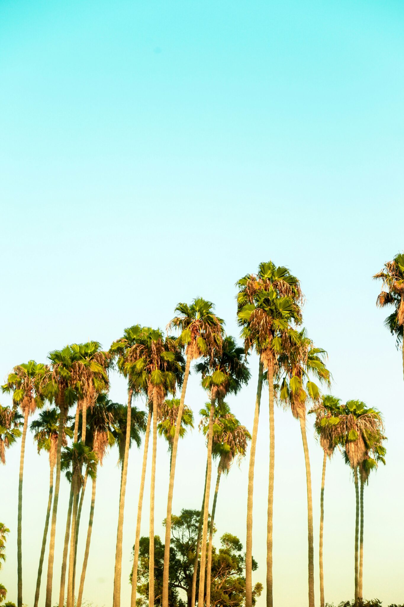 Events in Ventura County 7-11-25