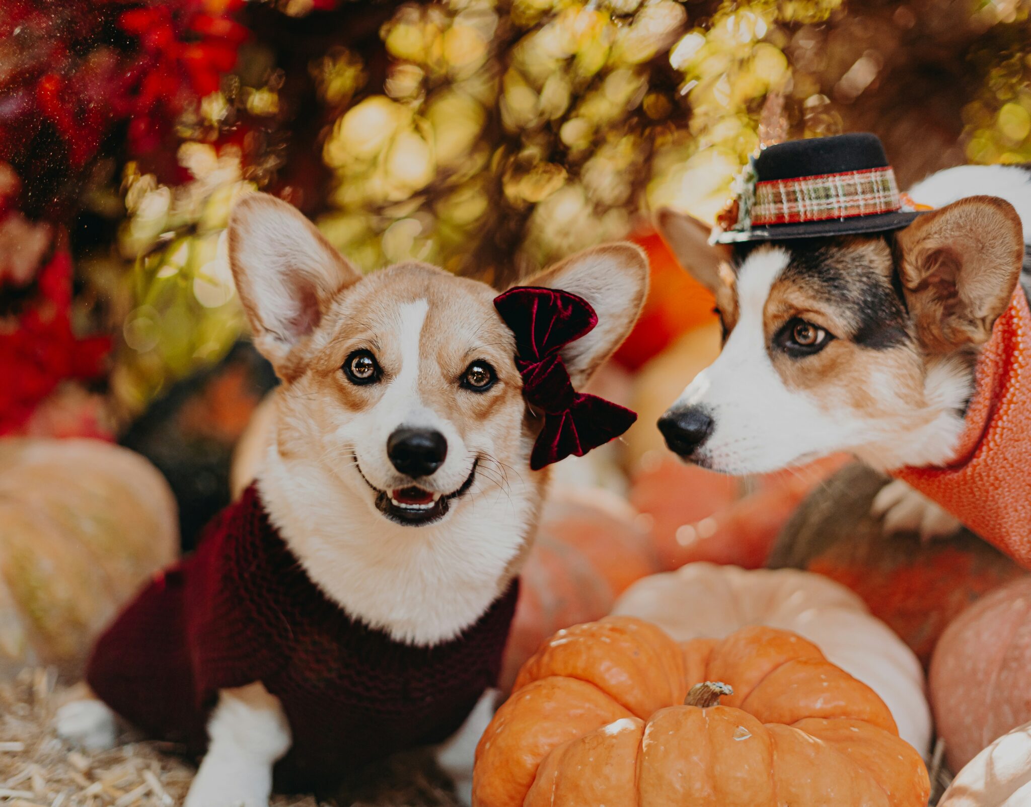 Events in Ventura County 10-17-25