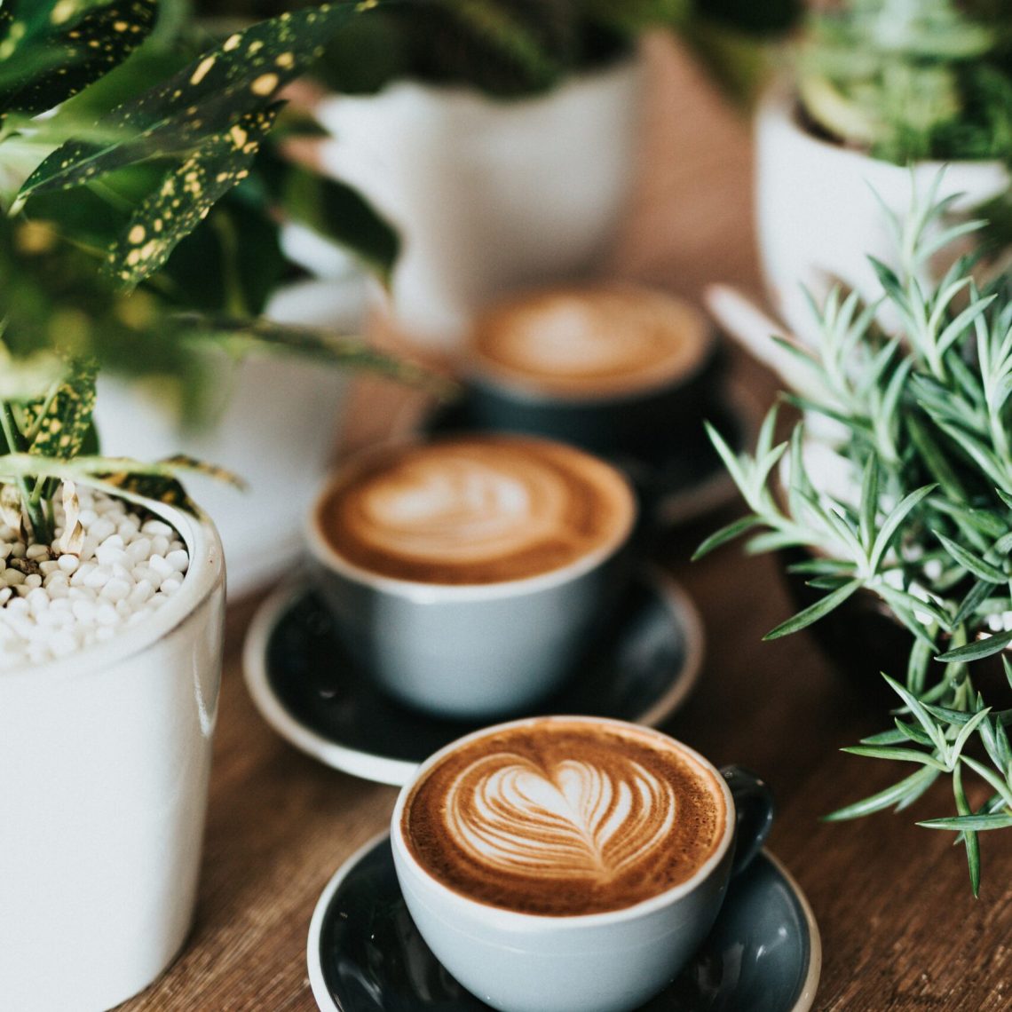 Best Coffee Shops In Ventura County