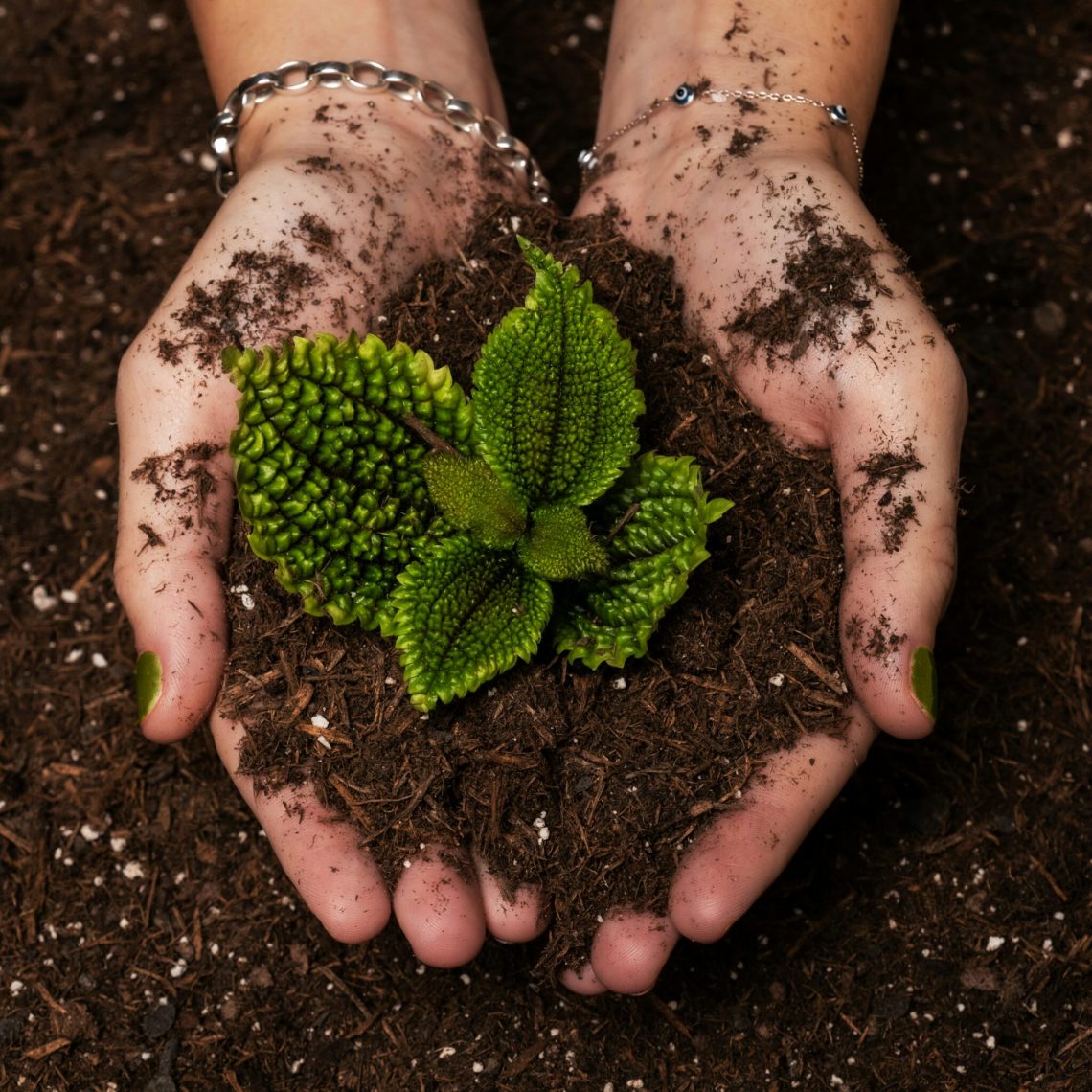 Events In Ventura County 4-17-26