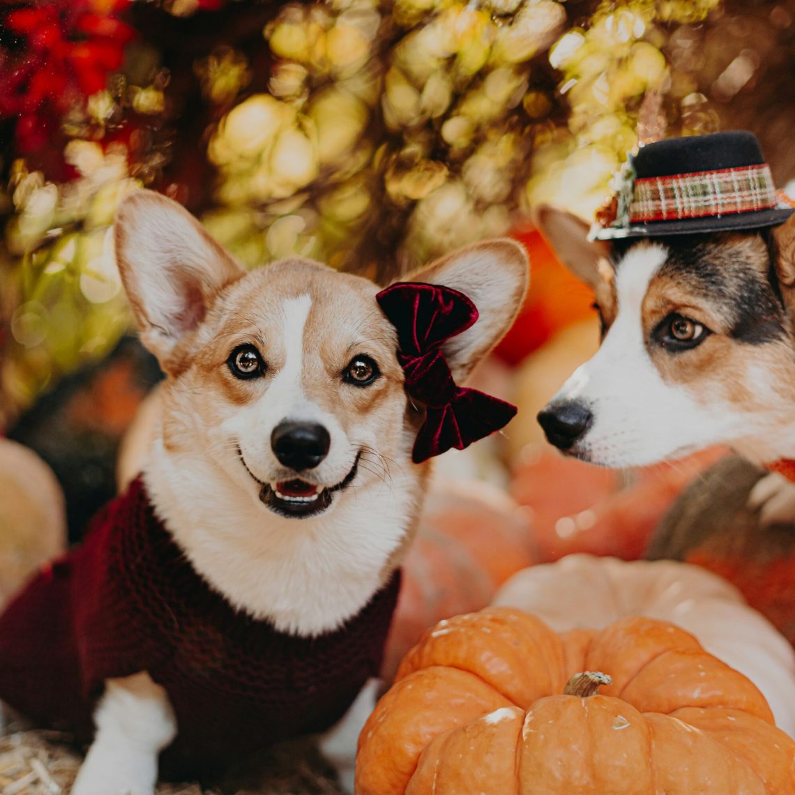 Events in Ventura County 10-17-25