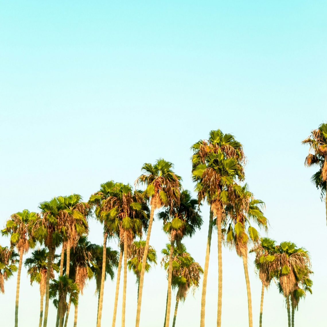 Events in Ventura County 7-11-25