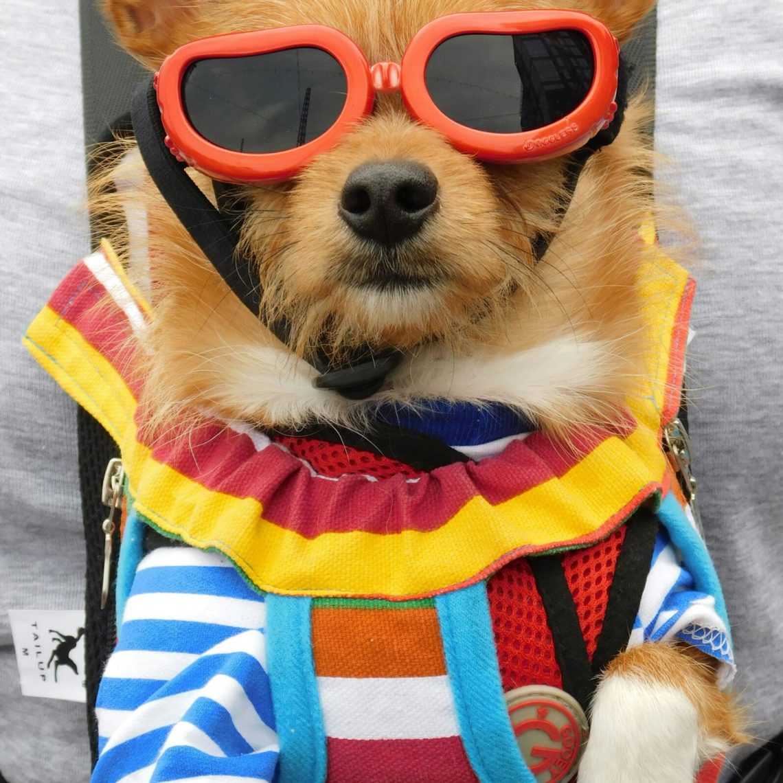 Ventura County Events 6-27-25